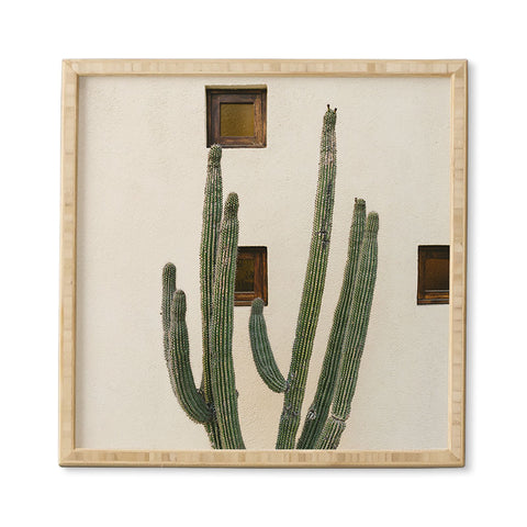Bethany Young Photography Cabo Cactus IX Framed Wall Art