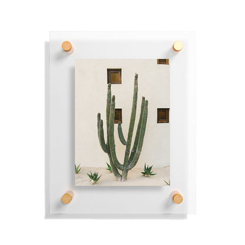 Bethany Young Photography Cabo Cactus IX Floating Acrylic Print