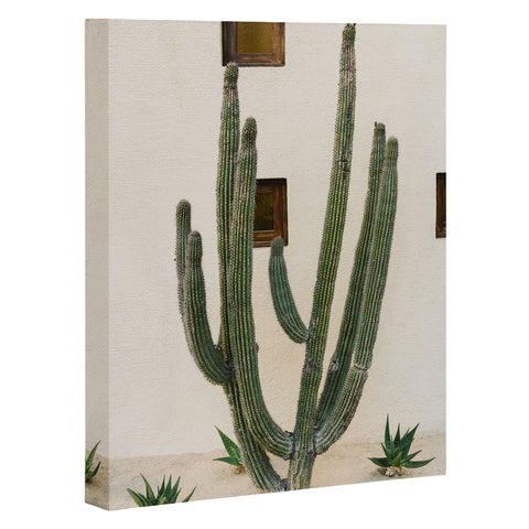Bethany Young Photography Cabo Cactus IX Art Canvas