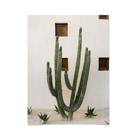 Bethany Young Photography Cabo Cactus IX Poster