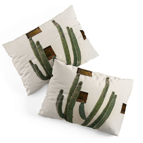 Bethany Young Photography Cabo Cactus IX Pillow Shams