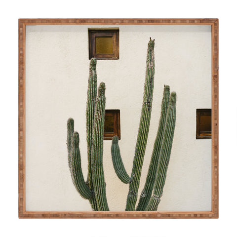 Bethany Young Photography Cabo Cactus IX Square Tray