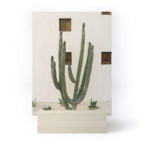 Bethany Young Photography Cabo Cactus IX Mini Art Print