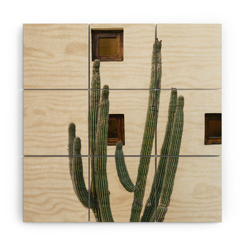 Bethany Young Photography Cabo Cactus IX Wood Wall Mural
