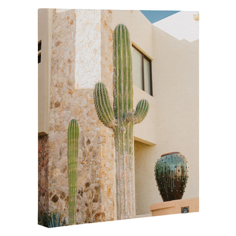 Bethany Young Photography Cabo Cactus VII Art Canvas