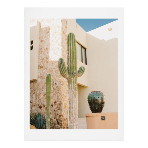 Bethany Young Photography Cabo Cactus VII Art Print