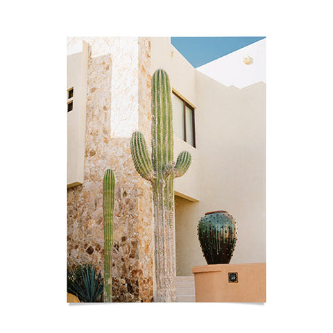 Bethany Young Photography Cabo Cactus VII Poster