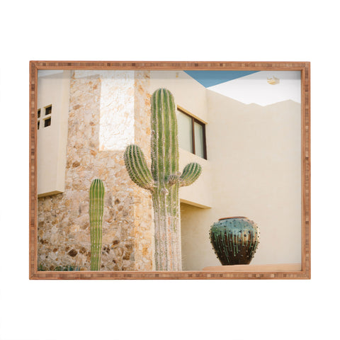 Bethany Young Photography Cabo Cactus VII Rectangular Tray