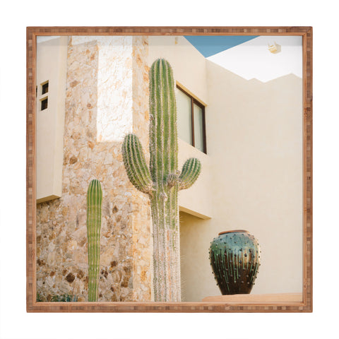 Bethany Young Photography Cabo Cactus VII Square Tray