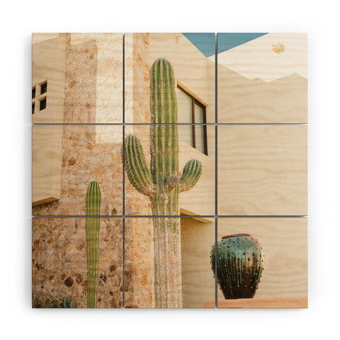 Bethany Young Photography Cabo Cactus VII Wood Wall Mural