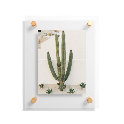 Bethany Young Photography Cabo Cactus X Floating Acrylic Print