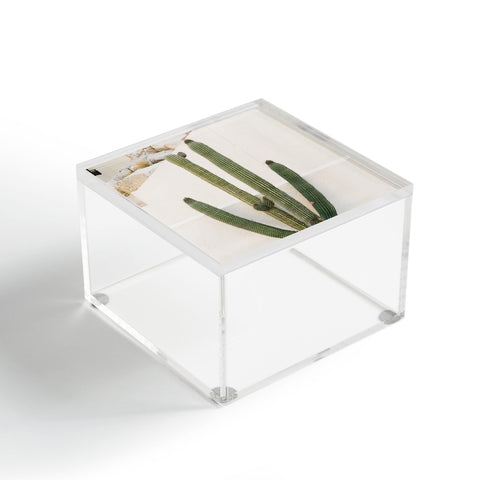 Bethany Young Photography Cabo Cactus X Acrylic Box