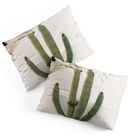Bethany Young Photography Cabo Cactus X Pillow Shams