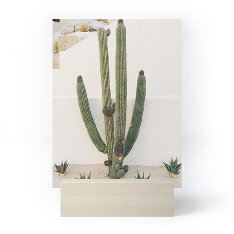 Bethany Young Photography Cabo Cactus X Mini Art Print