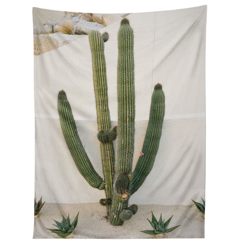 Bethany Young Photography Cabo Cactus X Tapestry