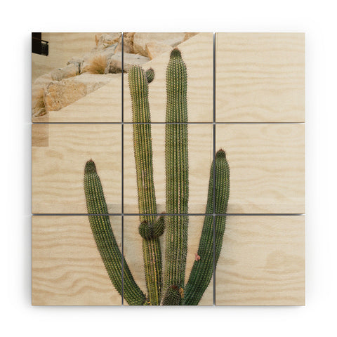 Bethany Young Photography Cabo Cactus X Wood Wall Mural