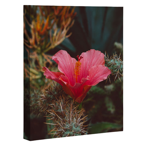 Bethany Young Photography California Bloom III Art Canvas