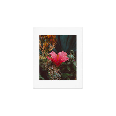 Bethany Young Photography California Bloom III Art Print