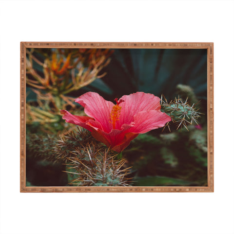 Bethany Young Photography California Bloom III Rectangular Tray