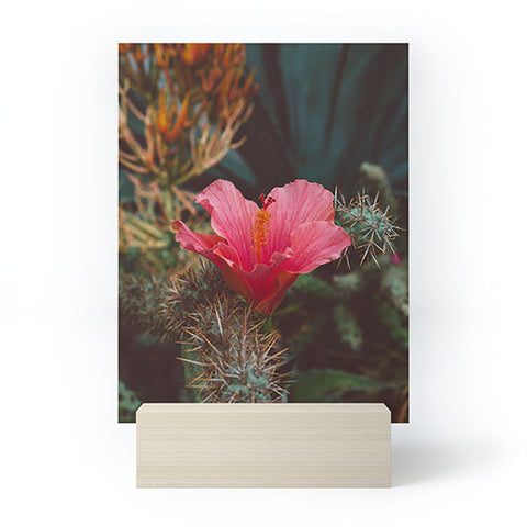 Bethany Young Photography California Bloom III Mini Art Print