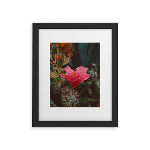 Bethany Young Photography California Bloom III Framed Art Print
