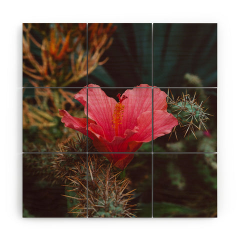 Bethany Young Photography California Bloom III Wood Wall Mural