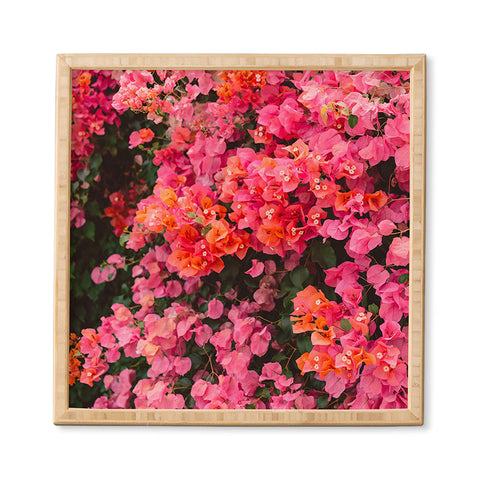 Bethany Young Photography California Blooms Framed Wall Art