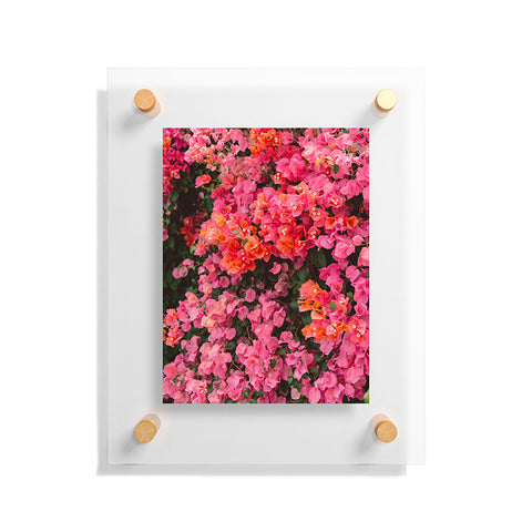 Bethany Young Photography California Blooms Floating Acrylic Print