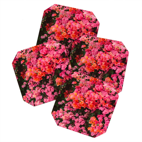 Bethany Young Photography California Blooms Coaster Set