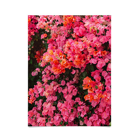 Bethany Young Photography California Blooms Poster