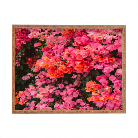 Bethany Young Photography California Blooms Rectangular Tray