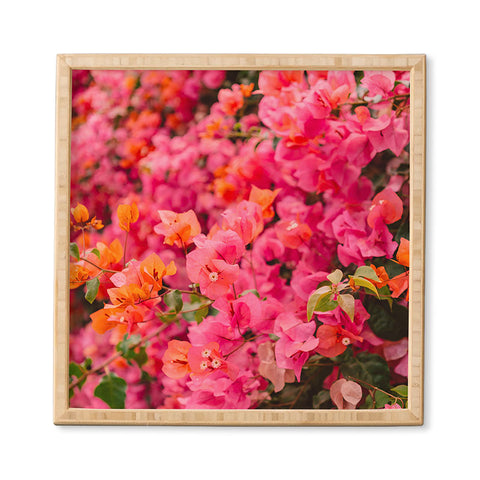 Bethany Young Photography California Blooms XIII Framed Wall Art