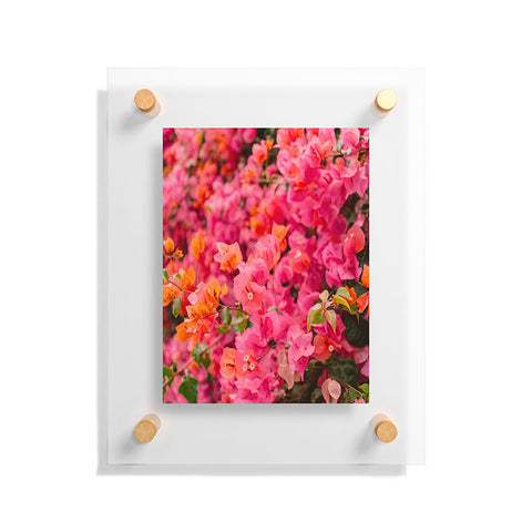Bethany Young Photography California Blooms XIII Floating Acrylic Print