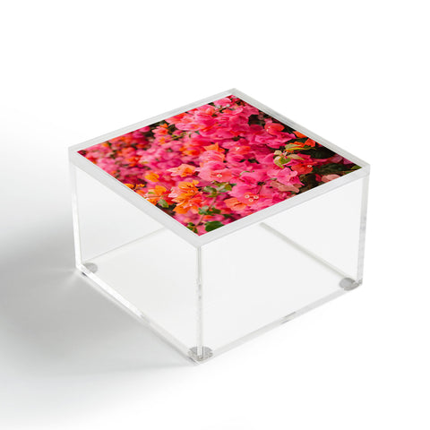 Bethany Young Photography California Blooms XIII Acrylic Box