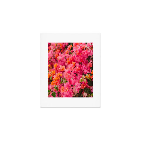 Bethany Young Photography California Blooms XIII Art Print