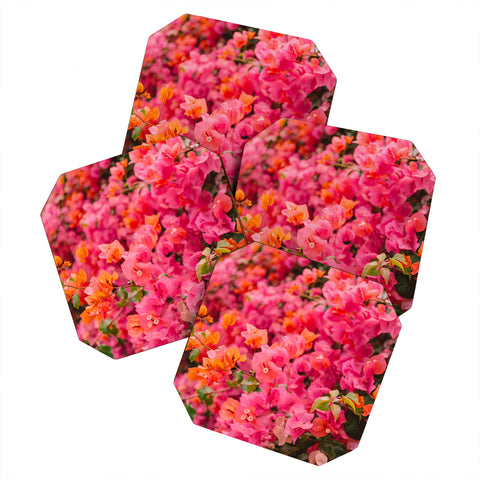 Bethany Young Photography California Blooms XIII Coaster Set
