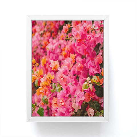 Bethany Young Photography California Blooms XIII Framed Mini Art Print