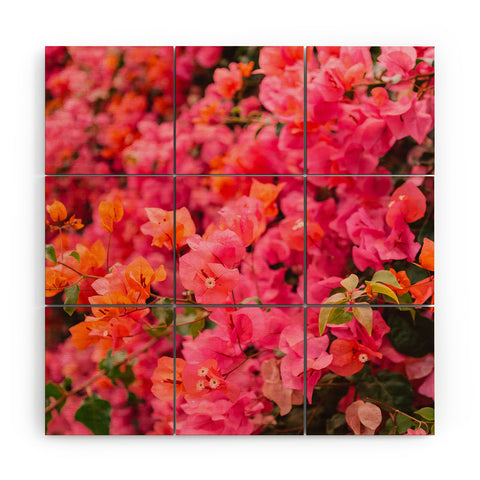 Bethany Young Photography California Blooms XIII Wood Wall Mural