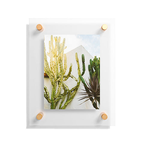 Bethany Young Photography California Cactus Garden Floating Acrylic Print