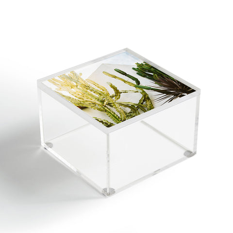 Bethany Young Photography California Cactus Garden Acrylic Box