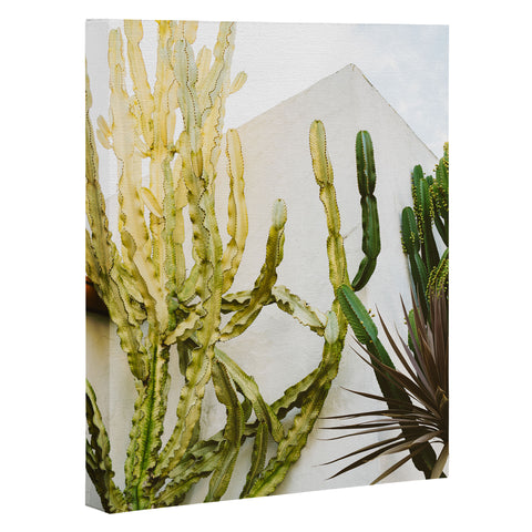 Bethany Young Photography California Cactus Garden Art Canvas