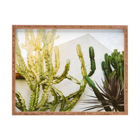 Bethany Young Photography California Cactus Garden Rectangular Tray