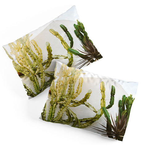 Bethany Young Photography California Cactus Garden Pillow Shams