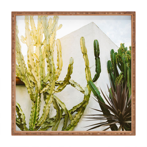 Bethany Young Photography California Cactus Garden Square Tray