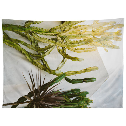 Bethany Young Photography California Cactus Garden Tapestry