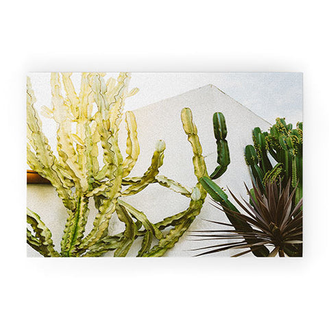 Bethany Young Photography California Cactus Garden Welcome Mat