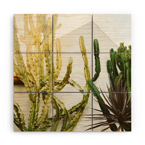 Bethany Young Photography California Cactus Garden Wood Wall Mural