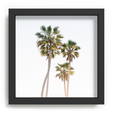 Bethany Young Photography California Palms Recessed Framing Square