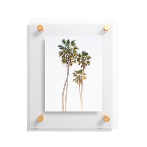 Bethany Young Photography California Palms Floating Acrylic Print