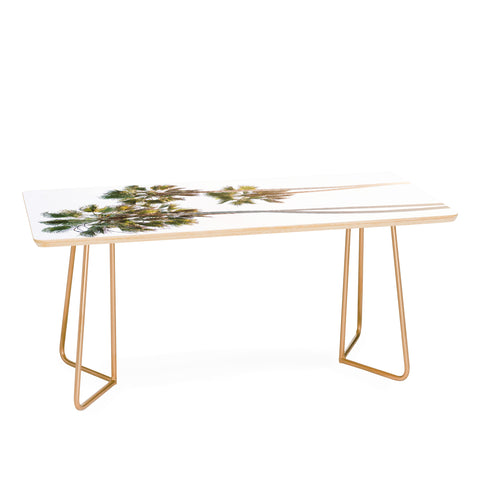 Bethany Young Photography California Palms Coffee Table